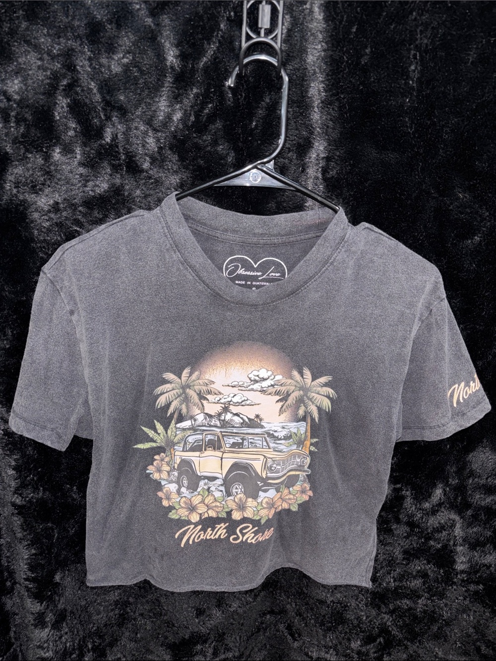 Y2K Gray Graphic Baggy Crop Tee - 'North Shore'